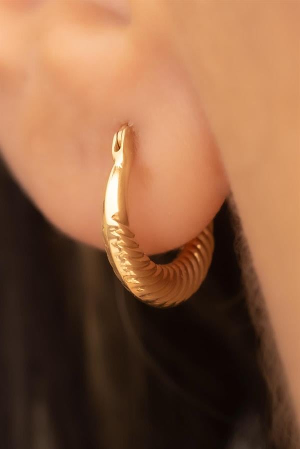 14 Ayar Altın Mini Midye Halka Küpe