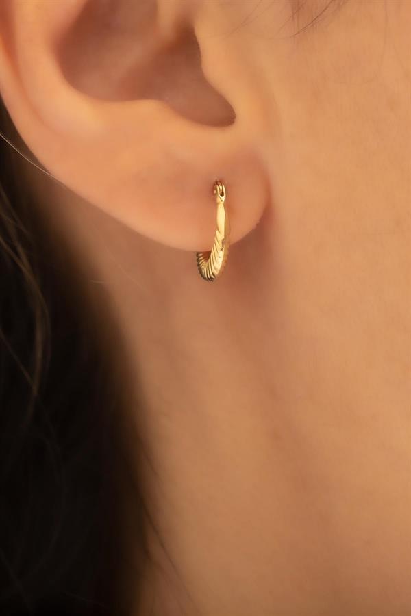 14 Ayar Altın Mini Midye Halka Küpe