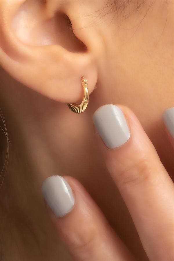 14 Ayar Altın Mini Midye Halka Küpe