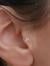 14 Ayar Altın Çiçek Tragus