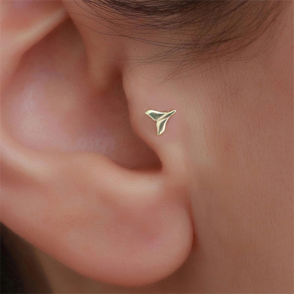 14 Ayar Altın Deniz Yıldızı Kuyruk Tragus Piercing