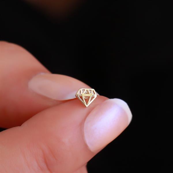 14 Ayar Altın Elmas Figürlü Tragus