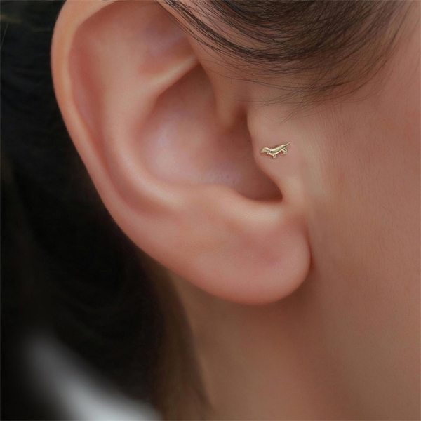 14 Ayar Altın Köpek Motifli Tragus Piercing