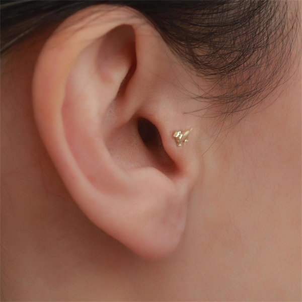 14 Ayar Altın Köpek Motifli Tragus Piercing