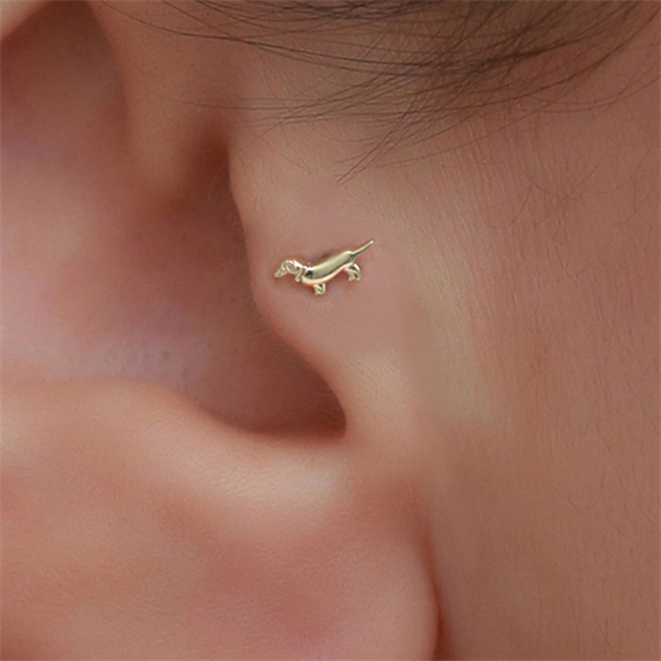 14 Ayar Altın Köpek Motifli Tragus Piercing