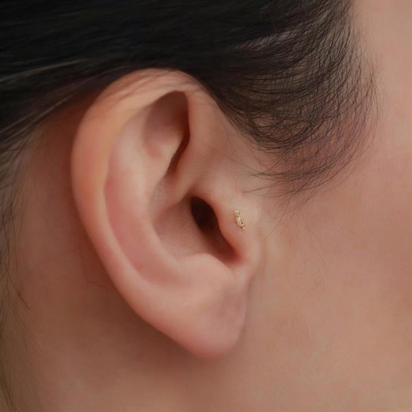 14 Ayar Altın Nota Tragus