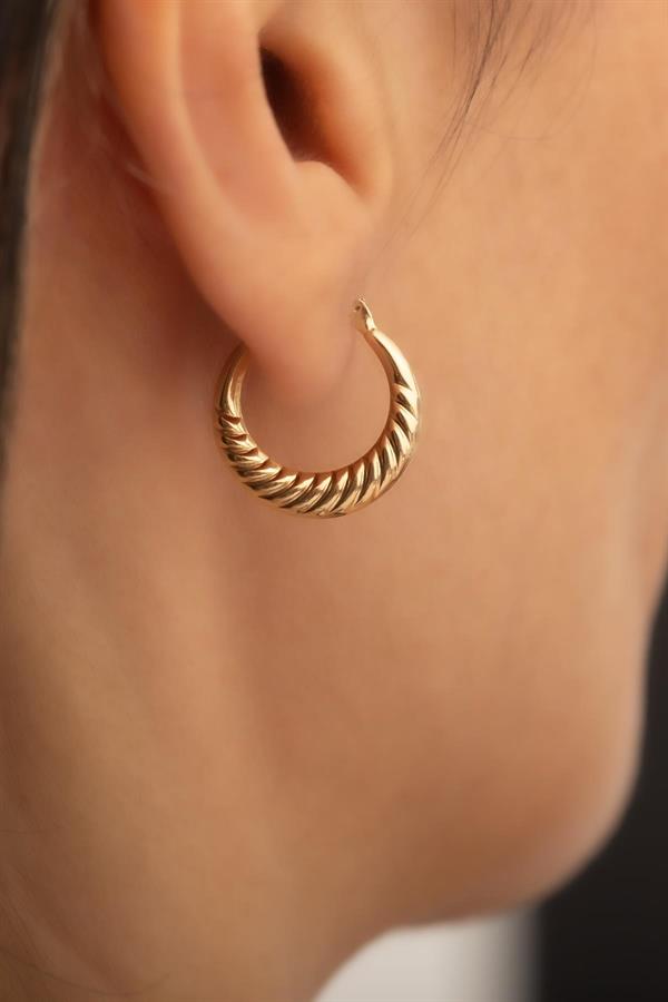 14K Solid Gold Medium Size Mussel Hoop Earrings