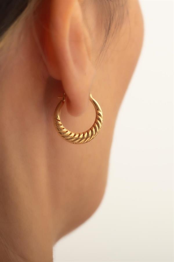 14K Solid Gold Medium Size Mussel Hoop Earrings