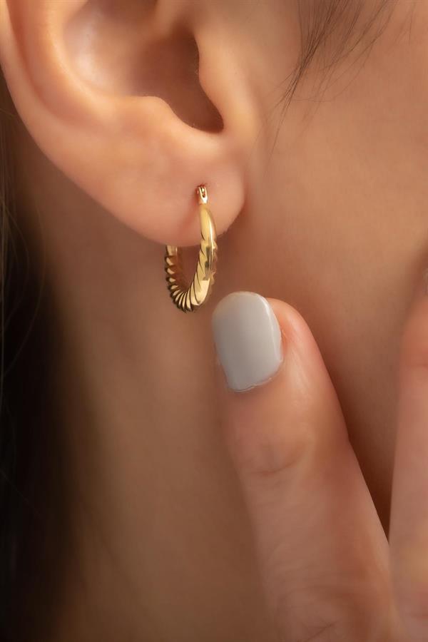 14K Solid Gold Medium Size Mussel Hoop Earrings