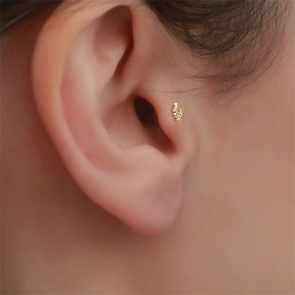 14 Ayar Altın Taşlı Balık Tragus Piercing