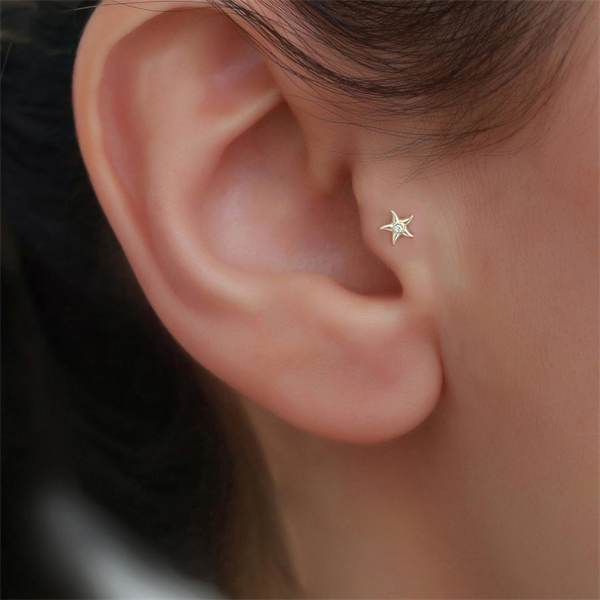14 Ayar Altın Taşlı Deniz Yıldızı Tragus Piercing