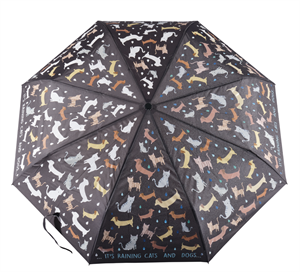 Floss & Rock Renk Değiştiren Şemsiye / Raining Cats & Dogs