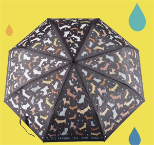 Floss & Rock Renk Değiştiren Şemsiye / Raining Cats & Dogs