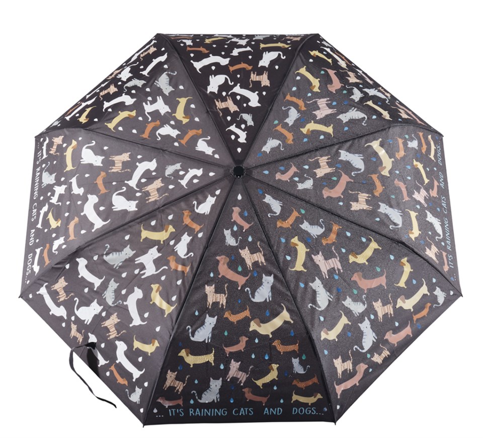 Floss & Rock Renk Değiştiren Şemsiye / Raining Cats & Dogs