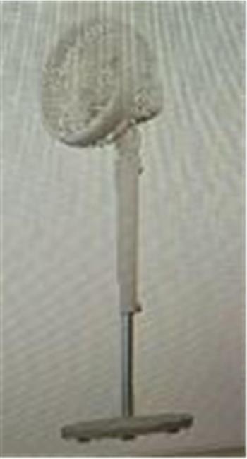 Everest FAN12 DynaBreeze Krem-Gold 9