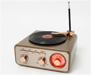 Everton RT-1217bt  Bluetooth Usb-Micro Plak Radyo