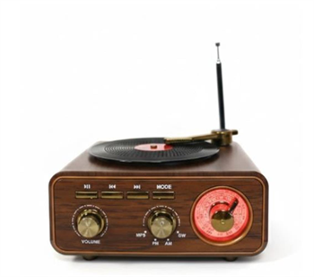 Everton RT-1317bt  Bluetooth Usb-Micro Plak Radyo