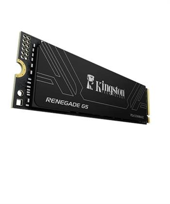 Kingston 1TB Renegade SRNG2S-1T0 G5 14200-11000MB-s PCIe 5.0 NVMe SSD Disk