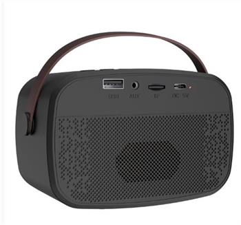 Mikado MD-57BT Endless 5W Siyah TF + USB + AUX + BT Destekli 2 Wireless Karaoke Mikrofon 1200mAh