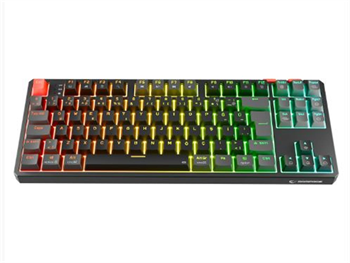 Rampage YORU TKL PRO Siyah-Gri  Type-C  Red Swich Q Kablosuz RGB Mekanik Oyuncu Klavyesi