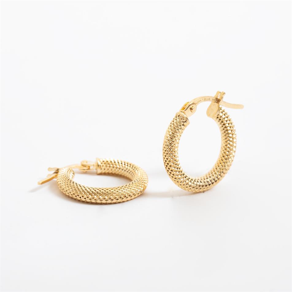 Solid Gold Creole Hoop Earrings