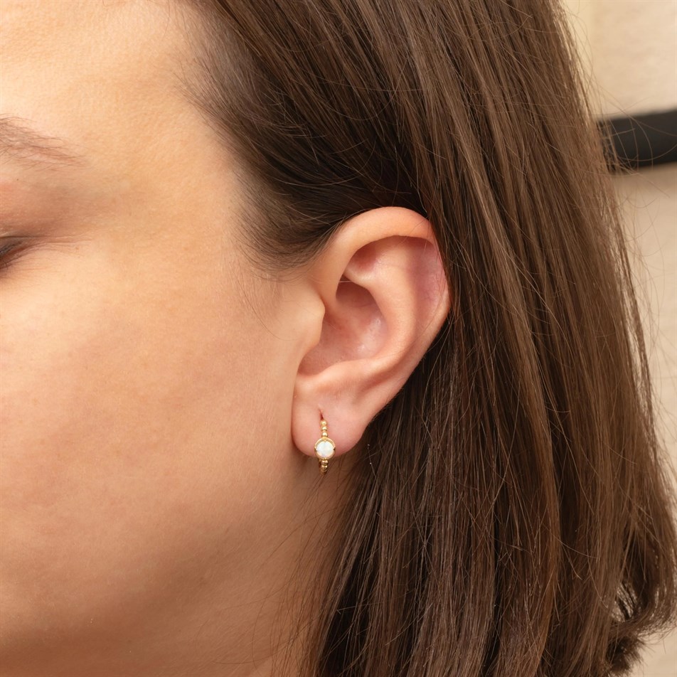 Gold Mini Hoop Earrings