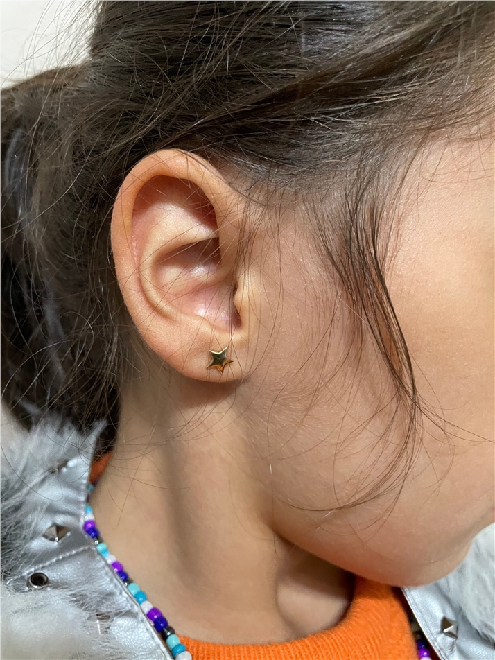 Solid Gold Star Stud Earrings