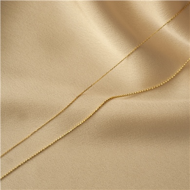 Solid Gold Two Chain Necklace