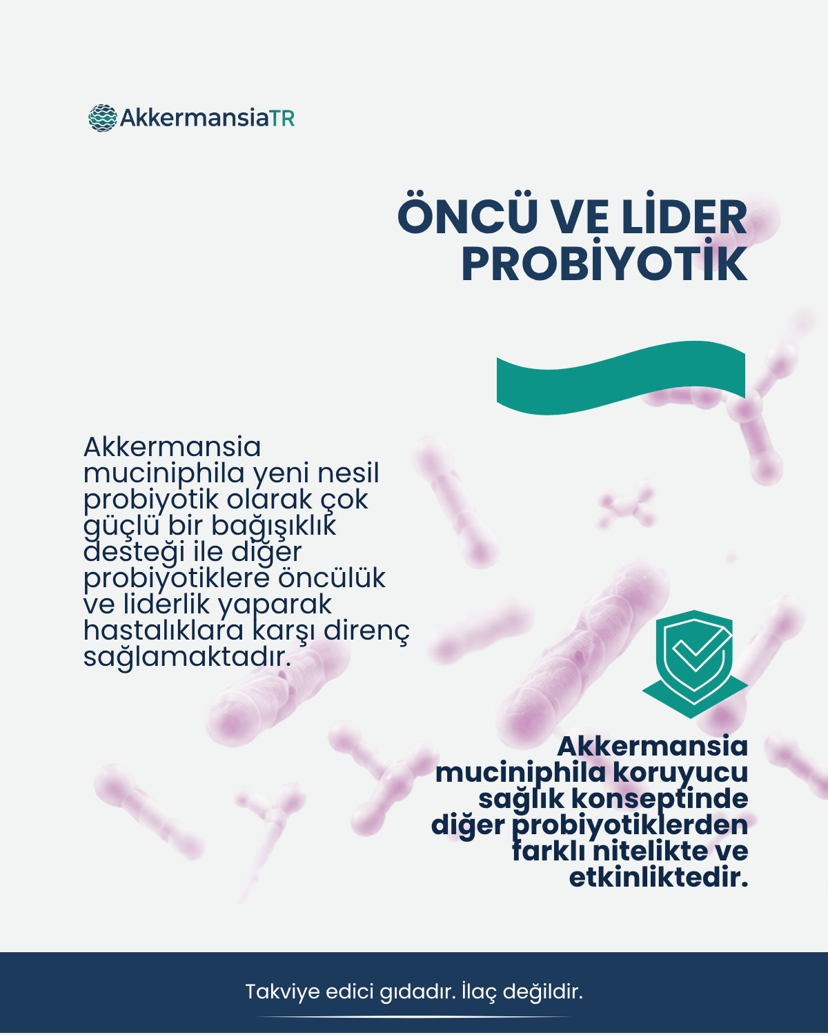 Akkermansiam (60 Kapsül)