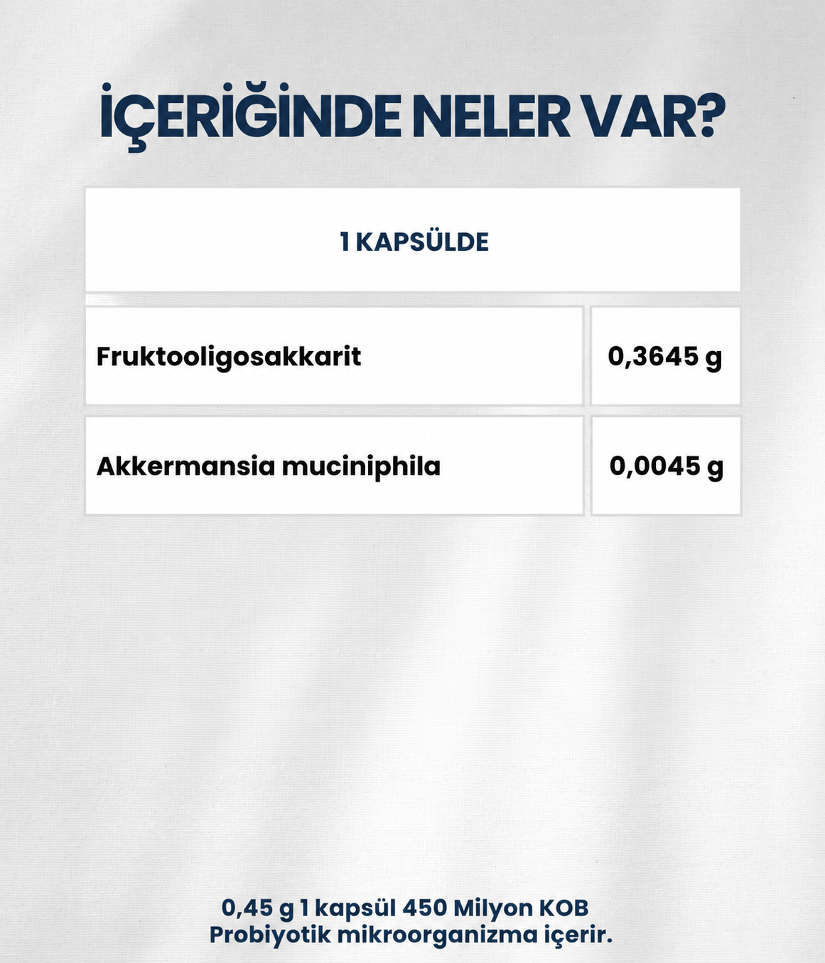 Akkermansiam (60 Kapsül)