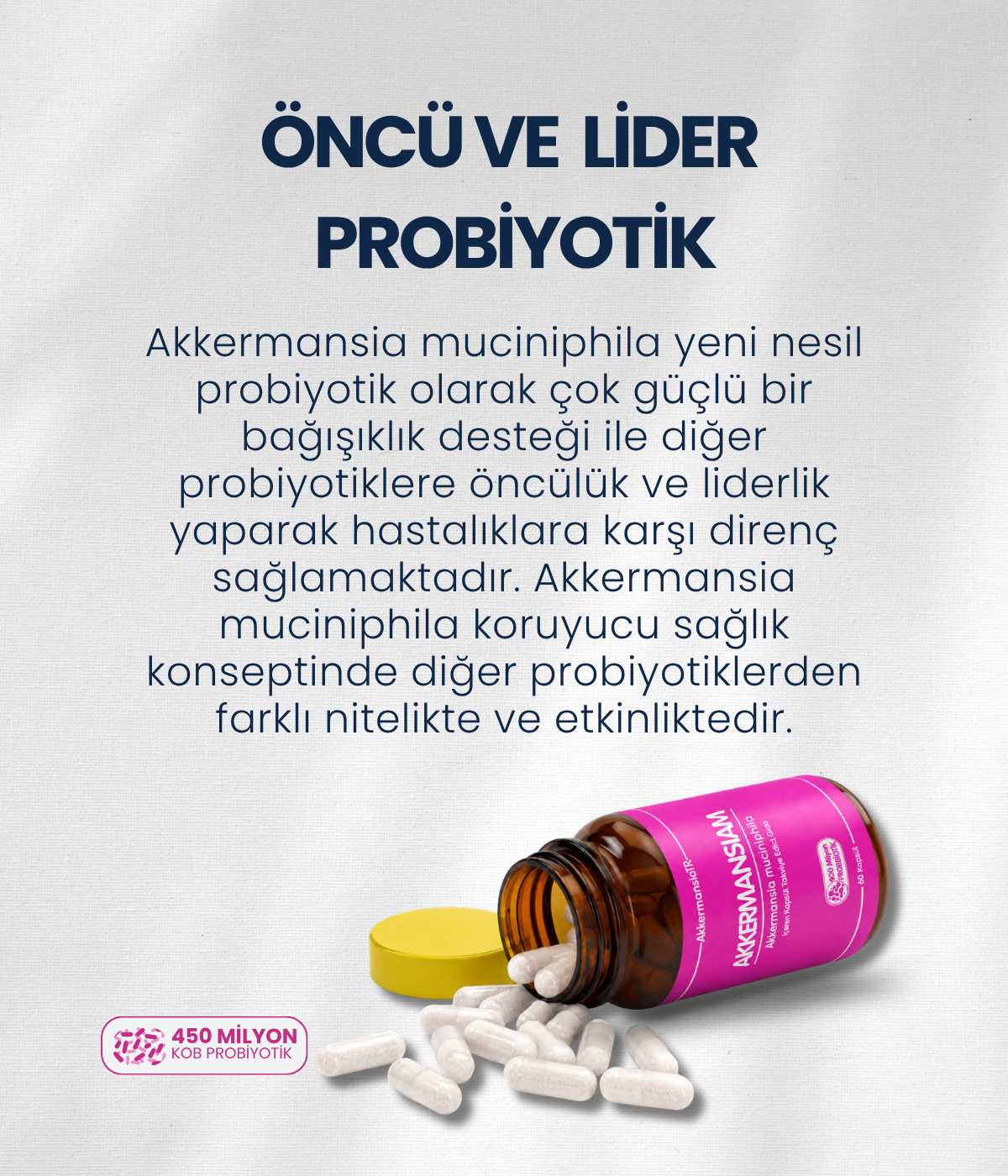 Akkermansiam (60 Kapsül)
