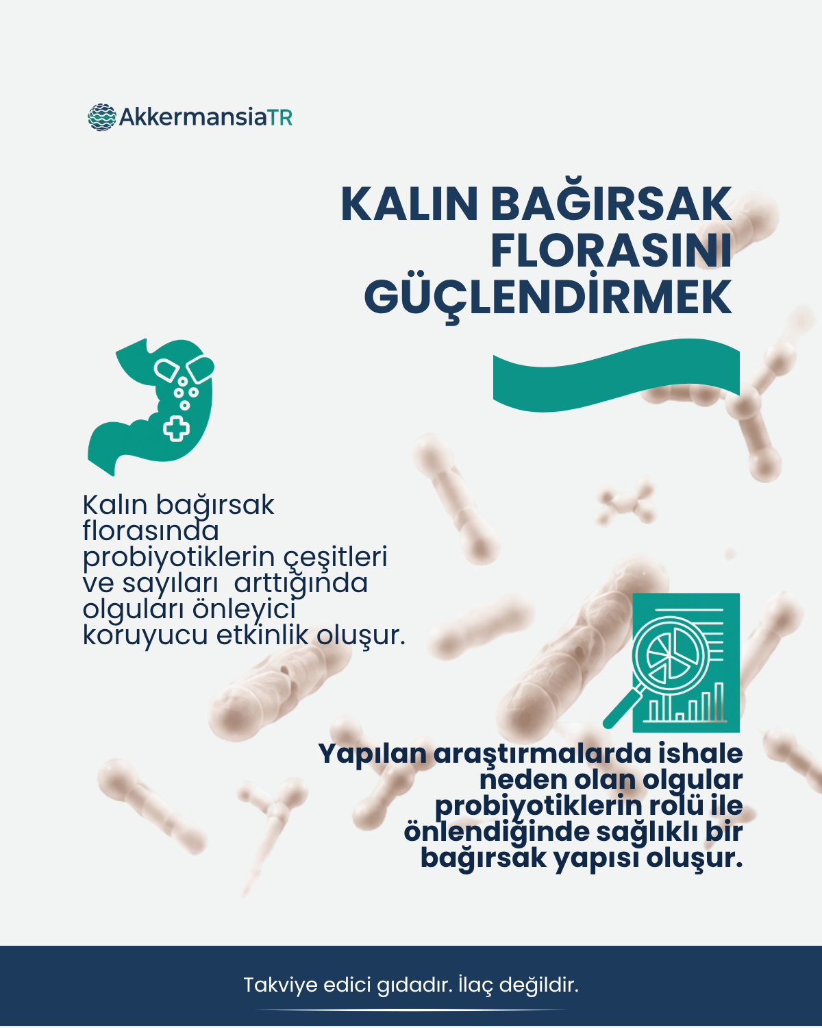 Akkermansiam-D (40 Kapsul)