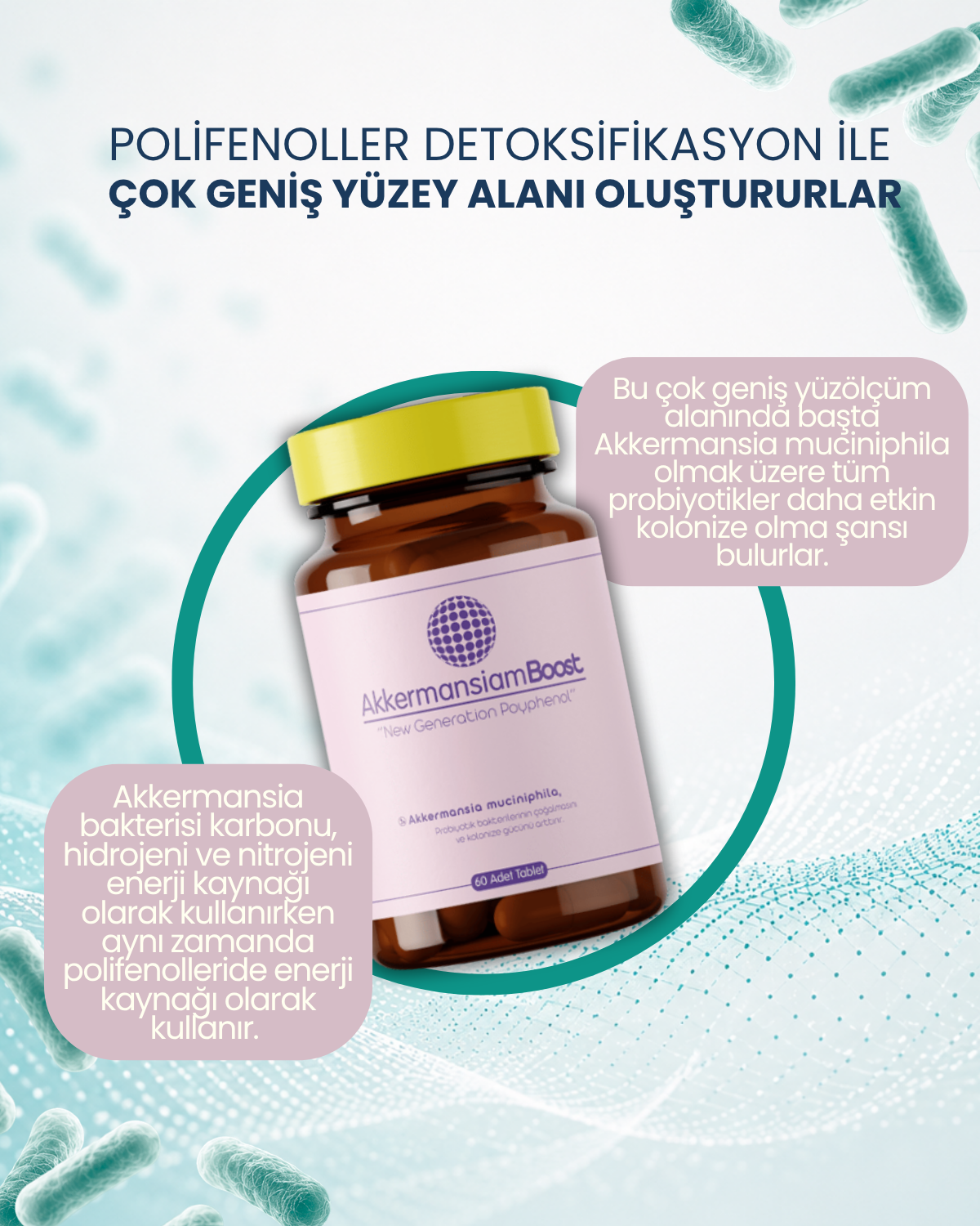 AkkermansiamBoost Emilebilir Form (60 Adet)