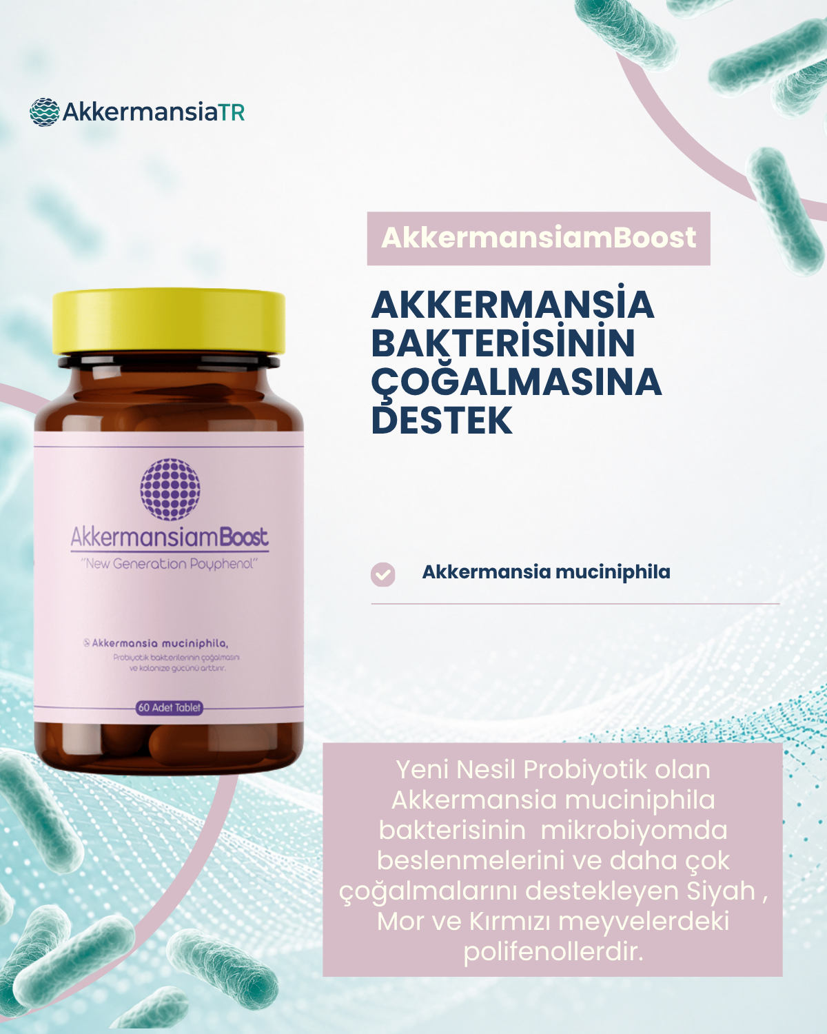 AkkermansiamBoost Emilebilir Form (60 Adet)