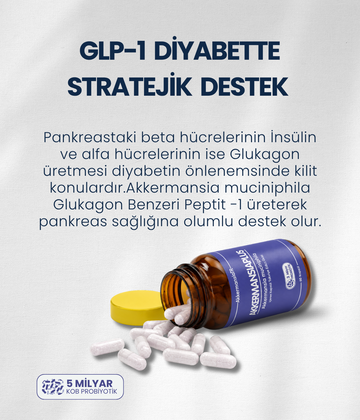 AkkermansiamPlus (60 Kapsul)