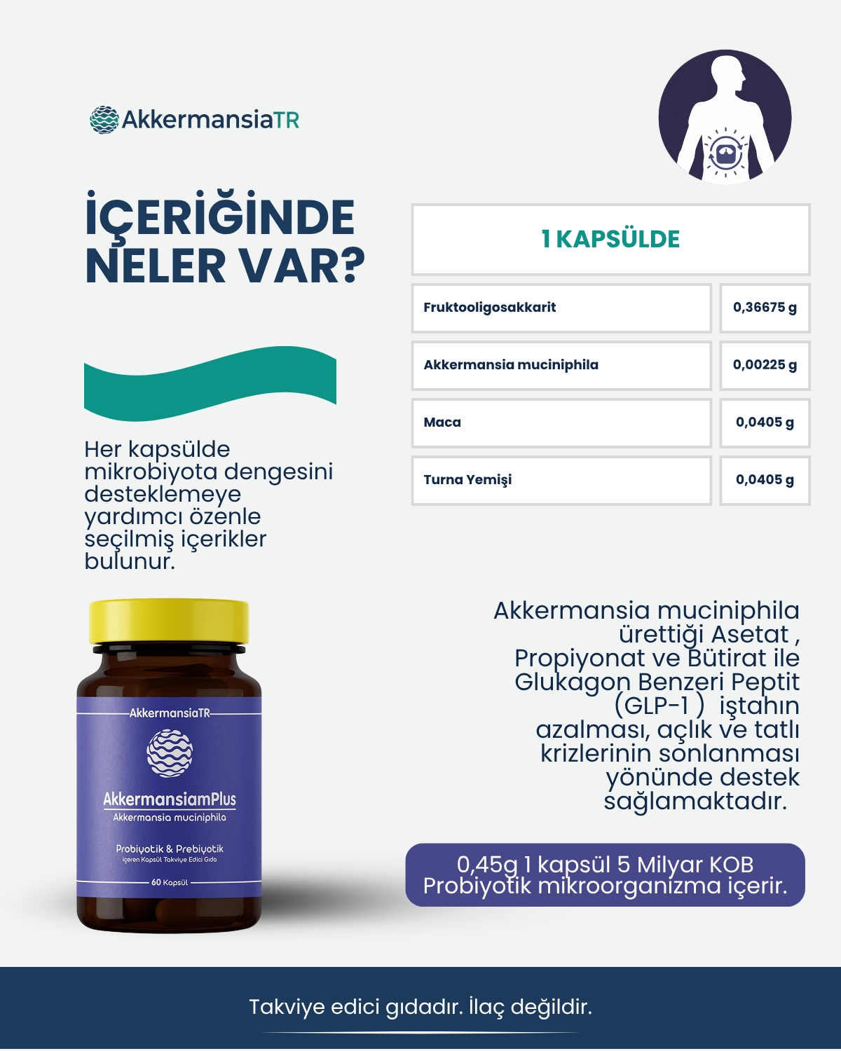 AkkermansiamPlus (60 Kapsul)
