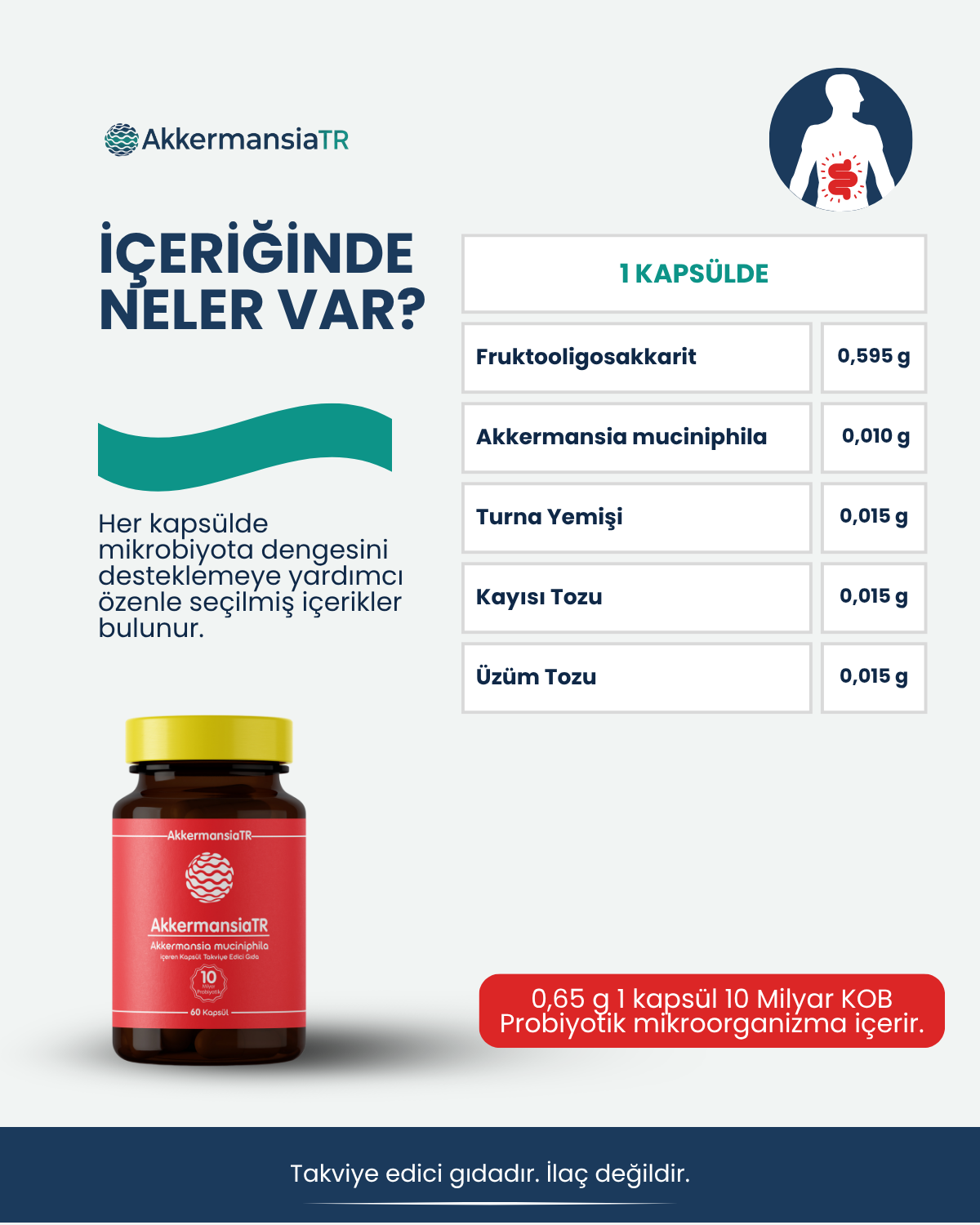 AkkermansiaTR (60 Kapsül)