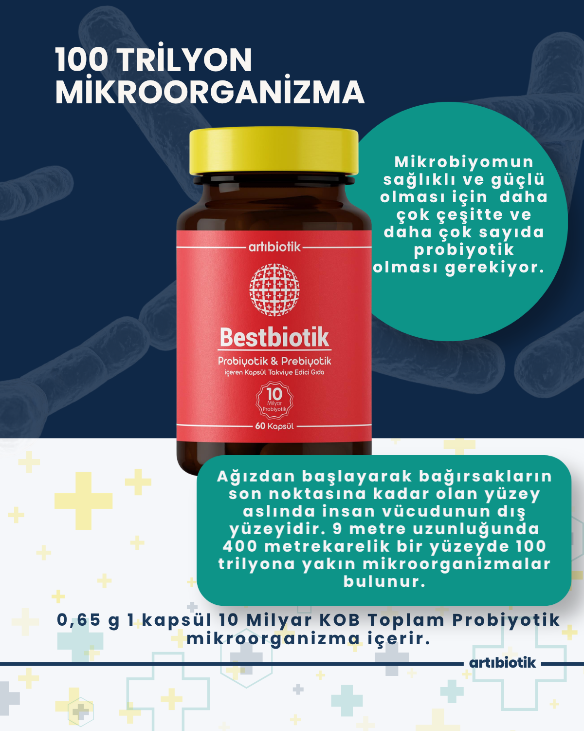 Artıbiotik Bestbiotik(60 Kapsül)