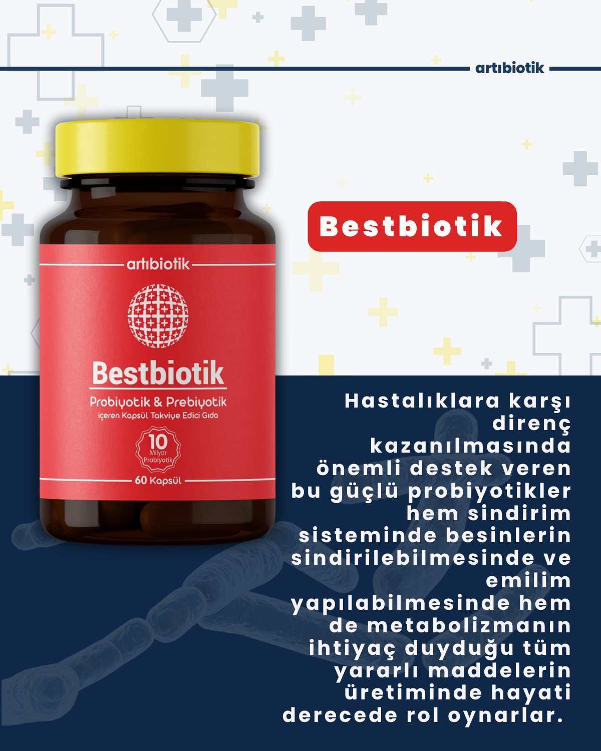 Artıbiotik Bestbiotik(60 Kapsül)