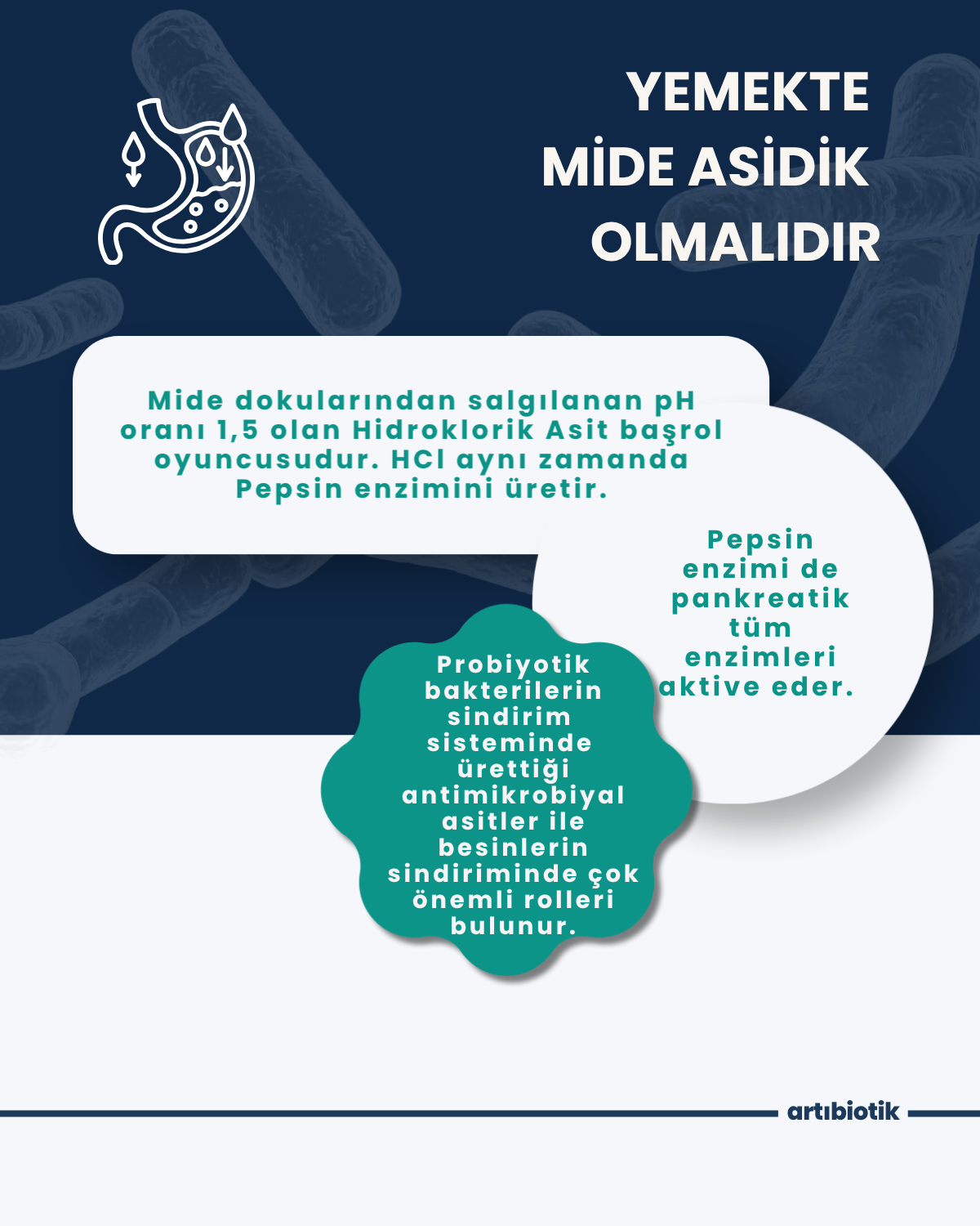 Artıbiotik Sndibiotik (60 Kapsül) 