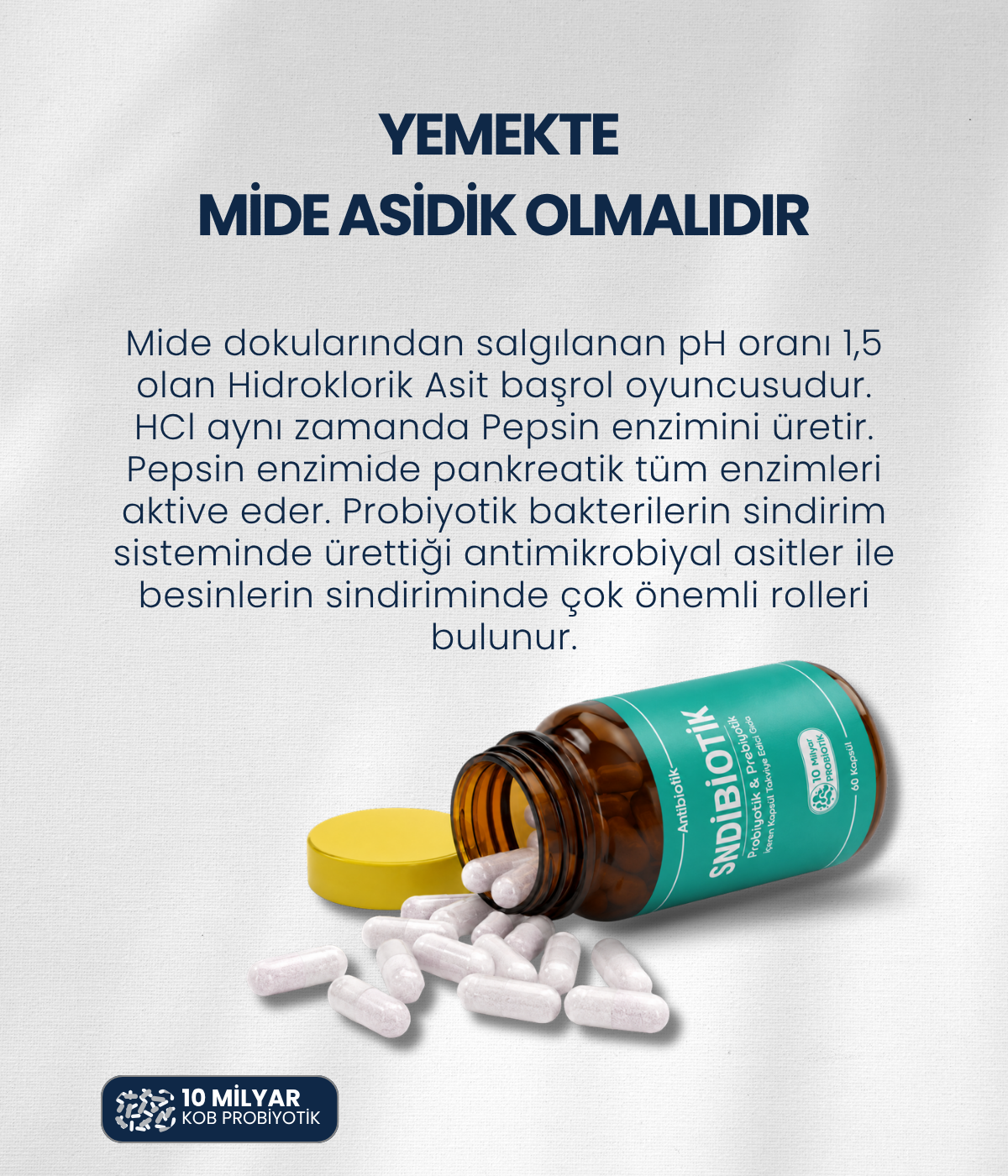 Artıbiotik Sndibiotik (60 Kapsül) 