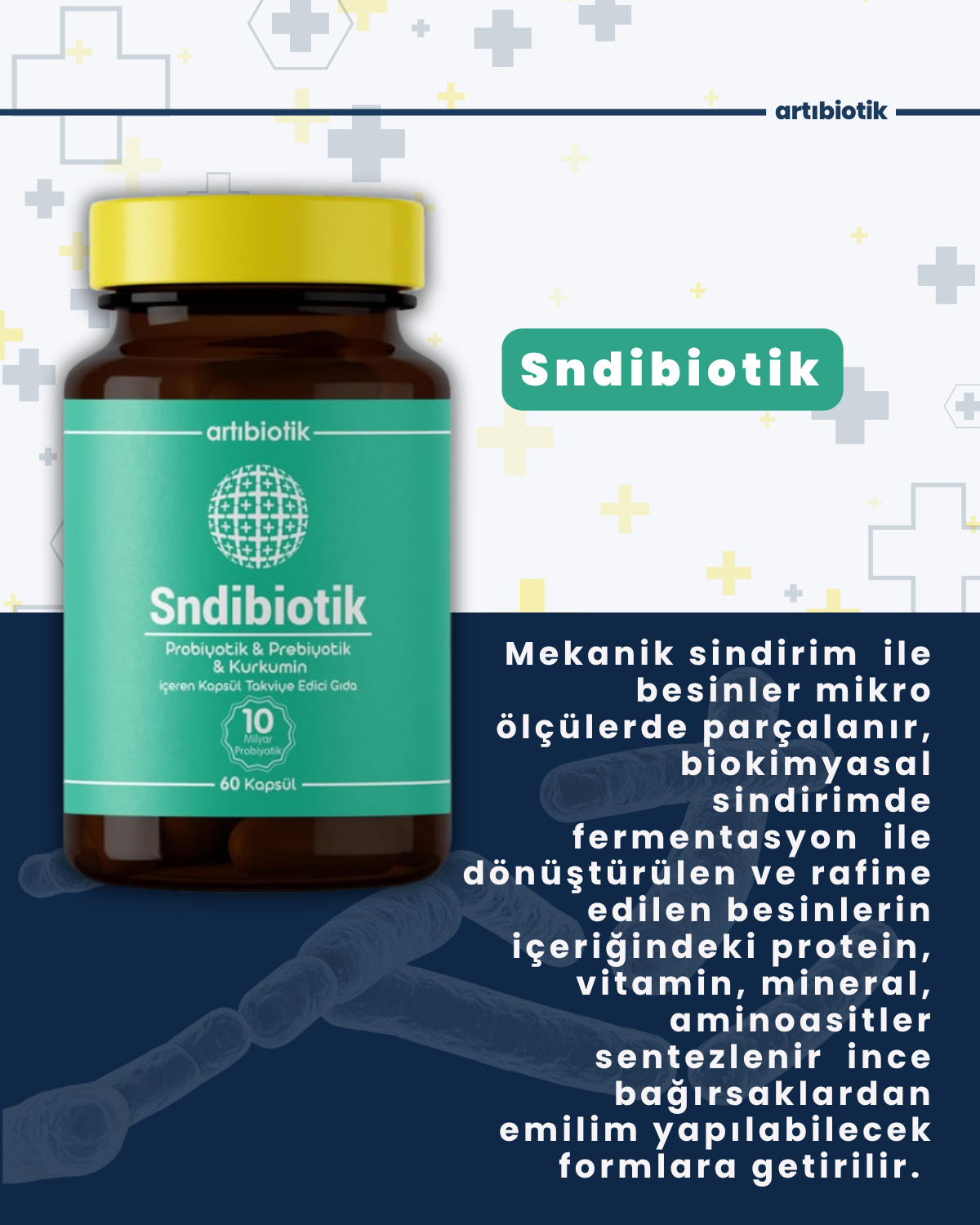 Artıbiotik Sndibiotik (60 Kapsül) 