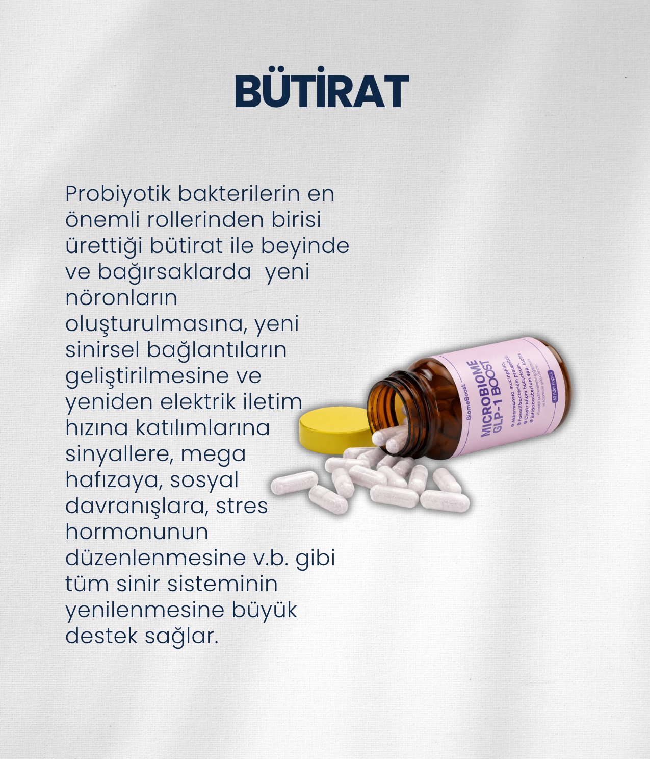 Bağırsak Beyin Bariyeri ve Sinir Sistemi Sağlığı Probiyotik Seti