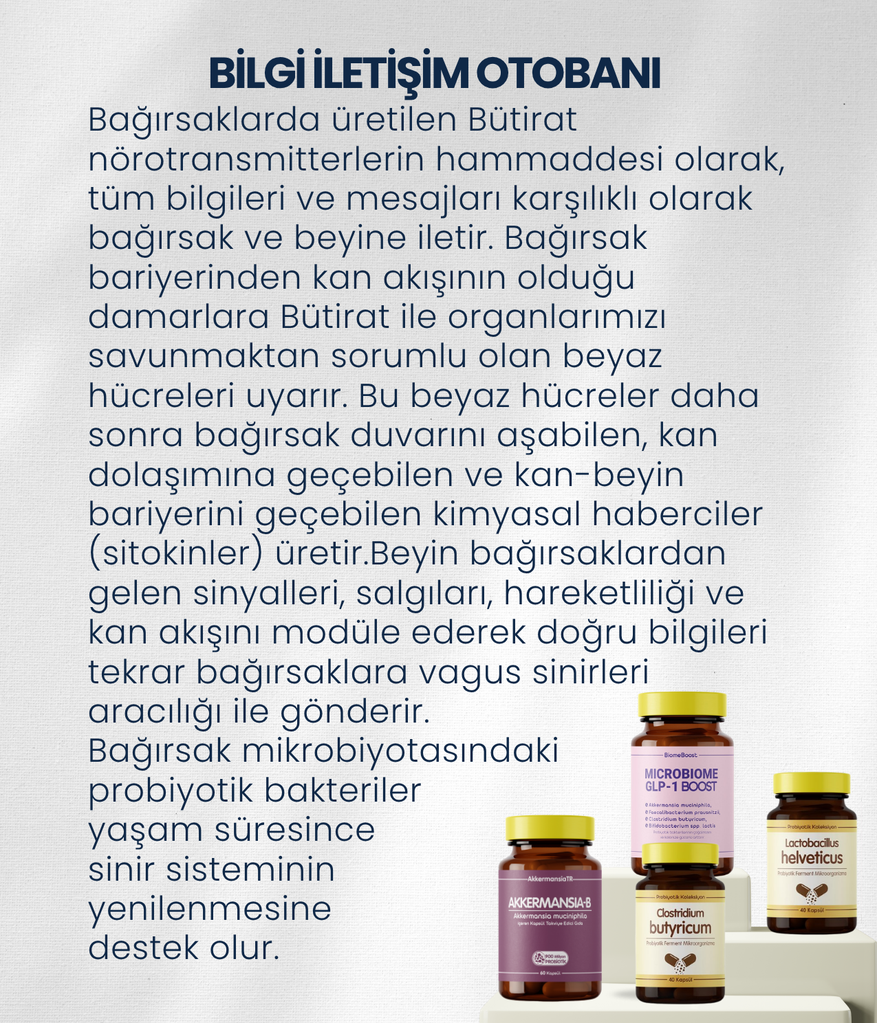 Bağırsak Beyin Bariyeri ve Sinir Sistemi Sağlığı Probiyotik Seti