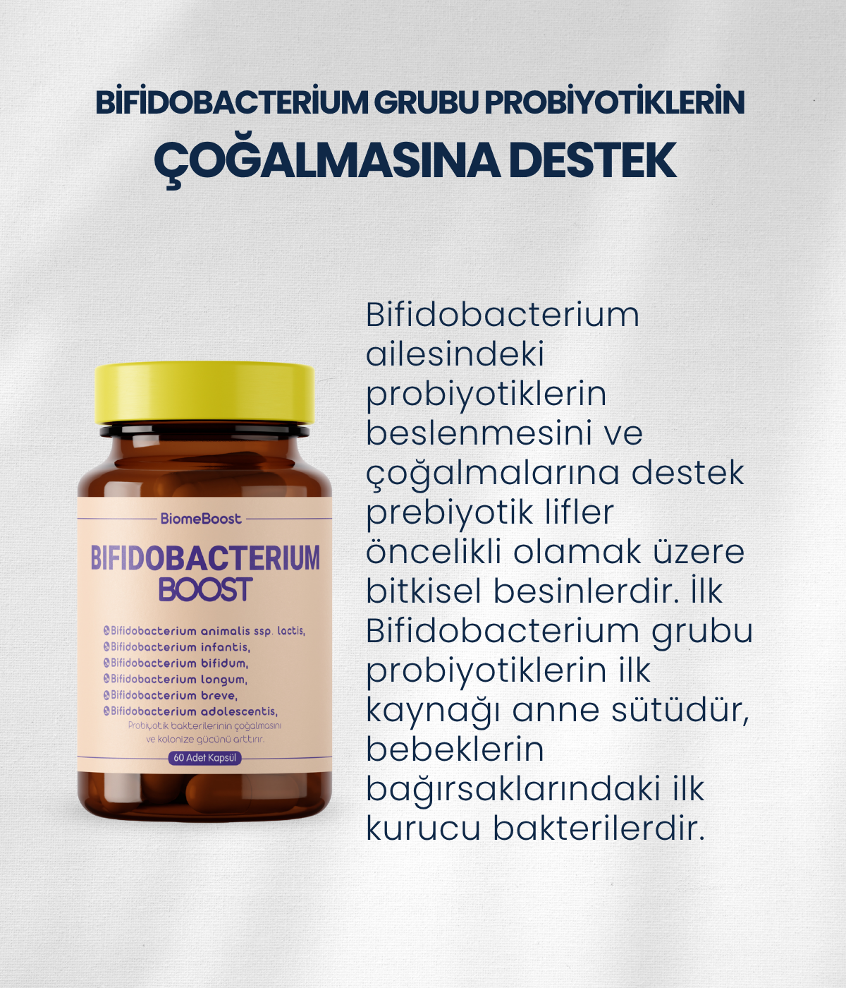 BifidobacteriumBoost 60 Kapsül