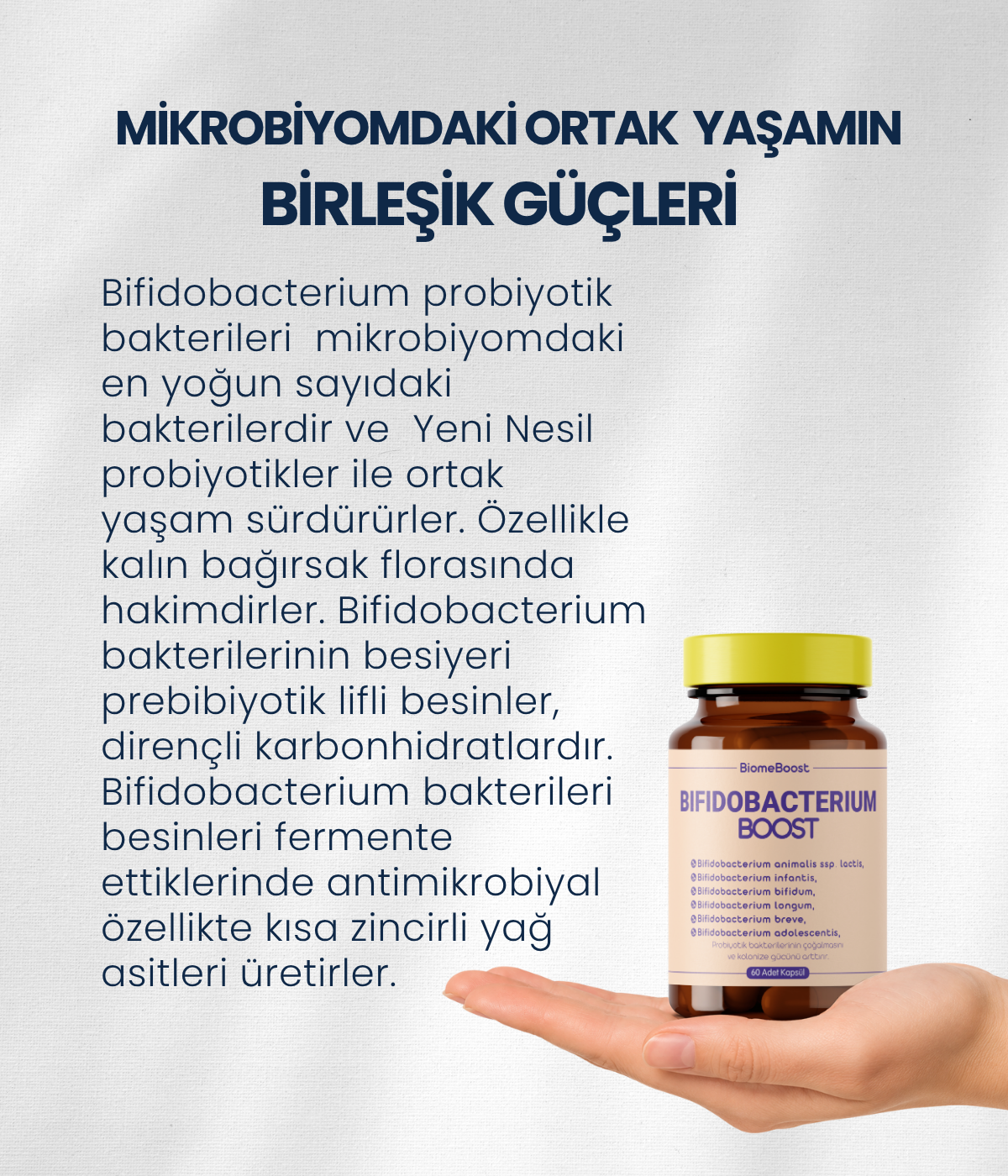 BifidobacteriumBoost 60 Kapsül