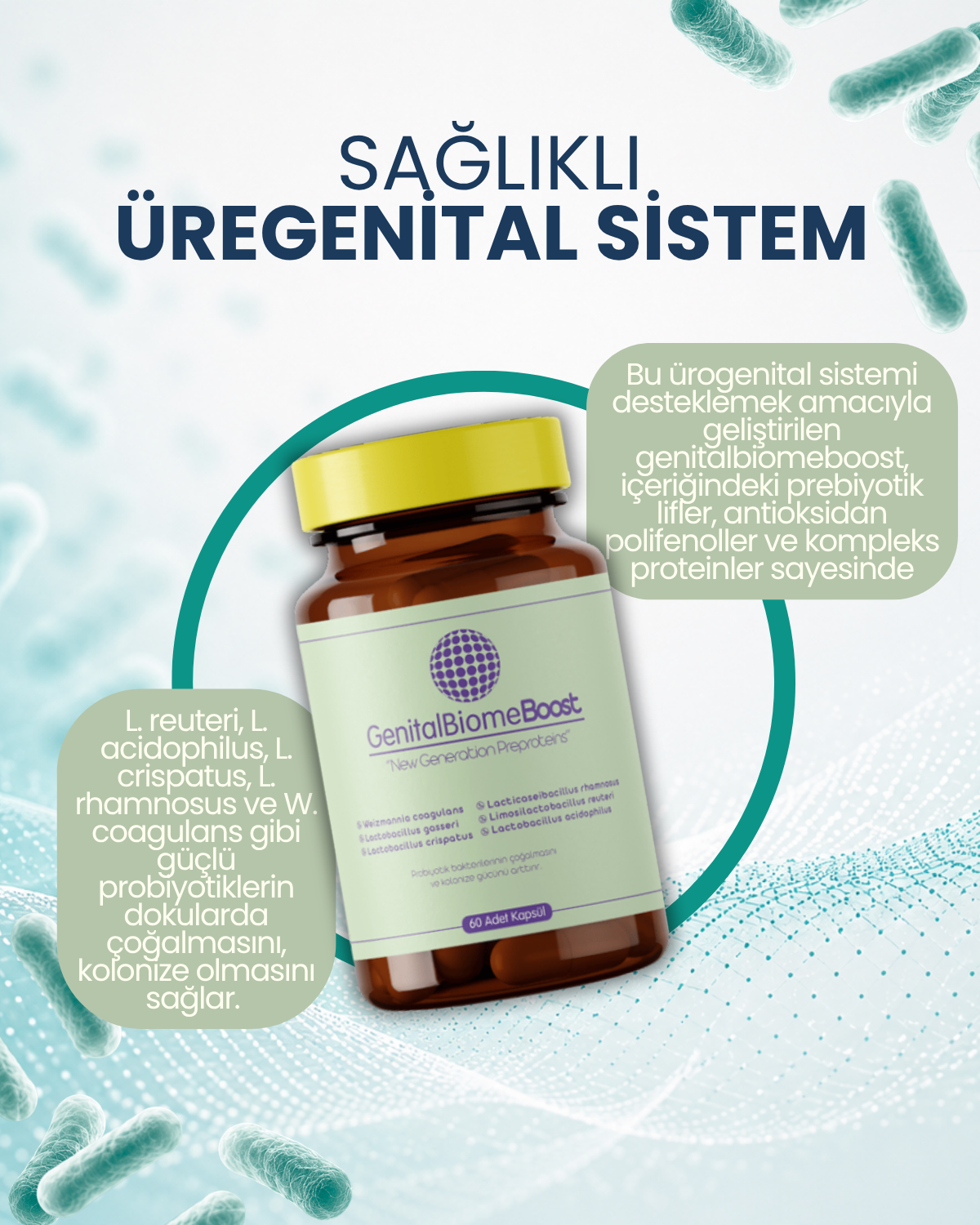 GenitalBiomeBoost 60 Kapsül