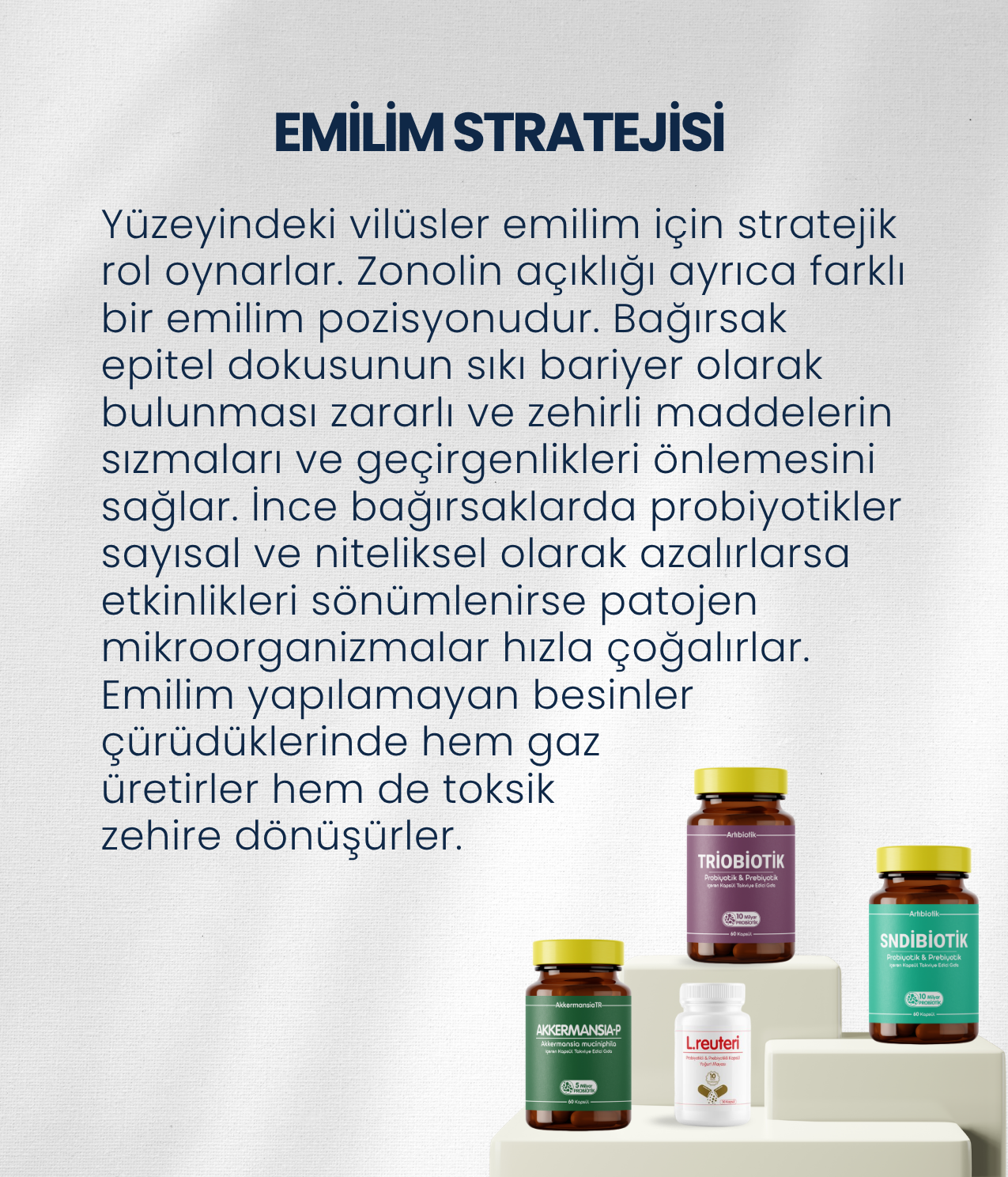 İnce Bağırsak Probiyotik Seti