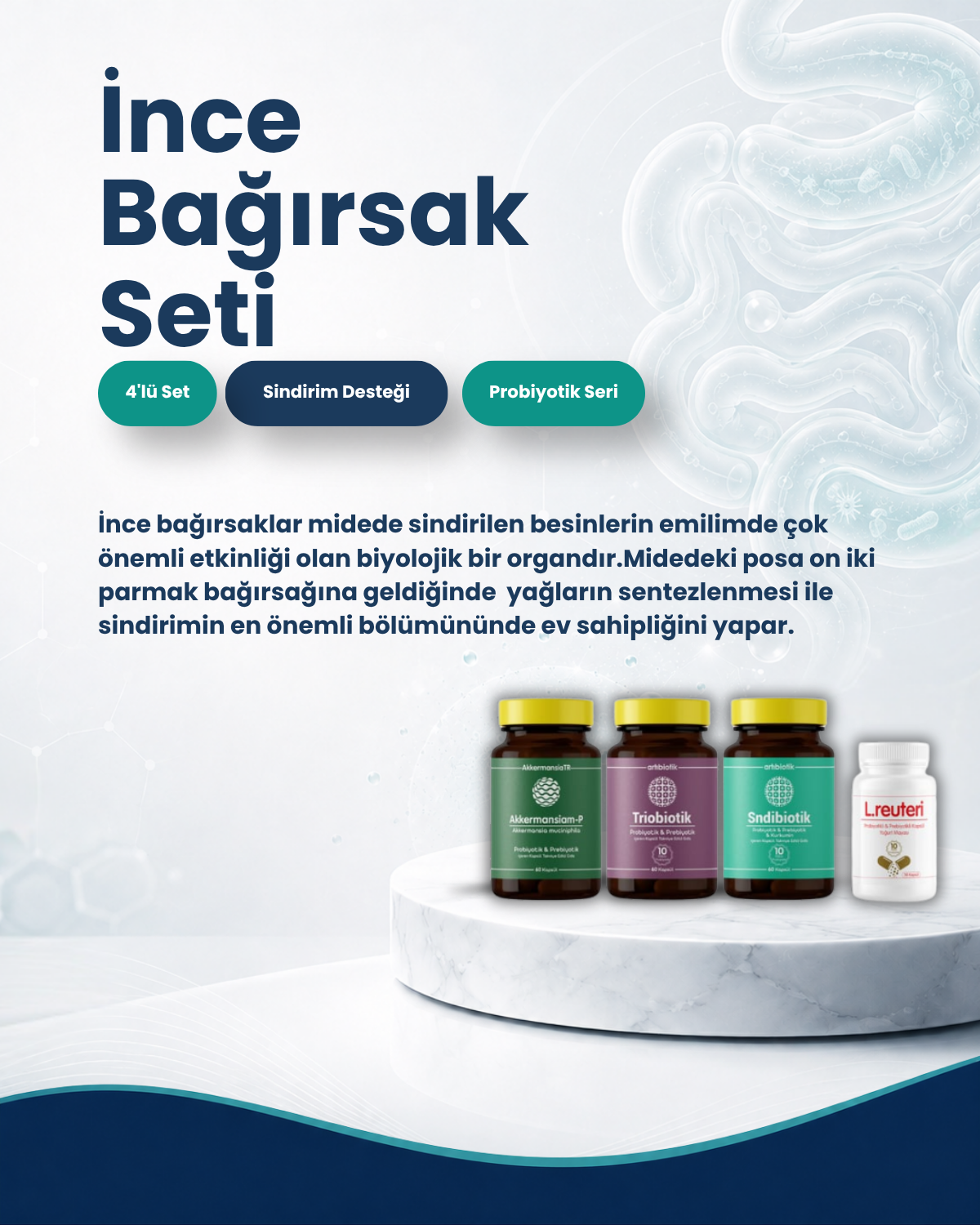 İnce Bağırsak Probiyotik Seti
