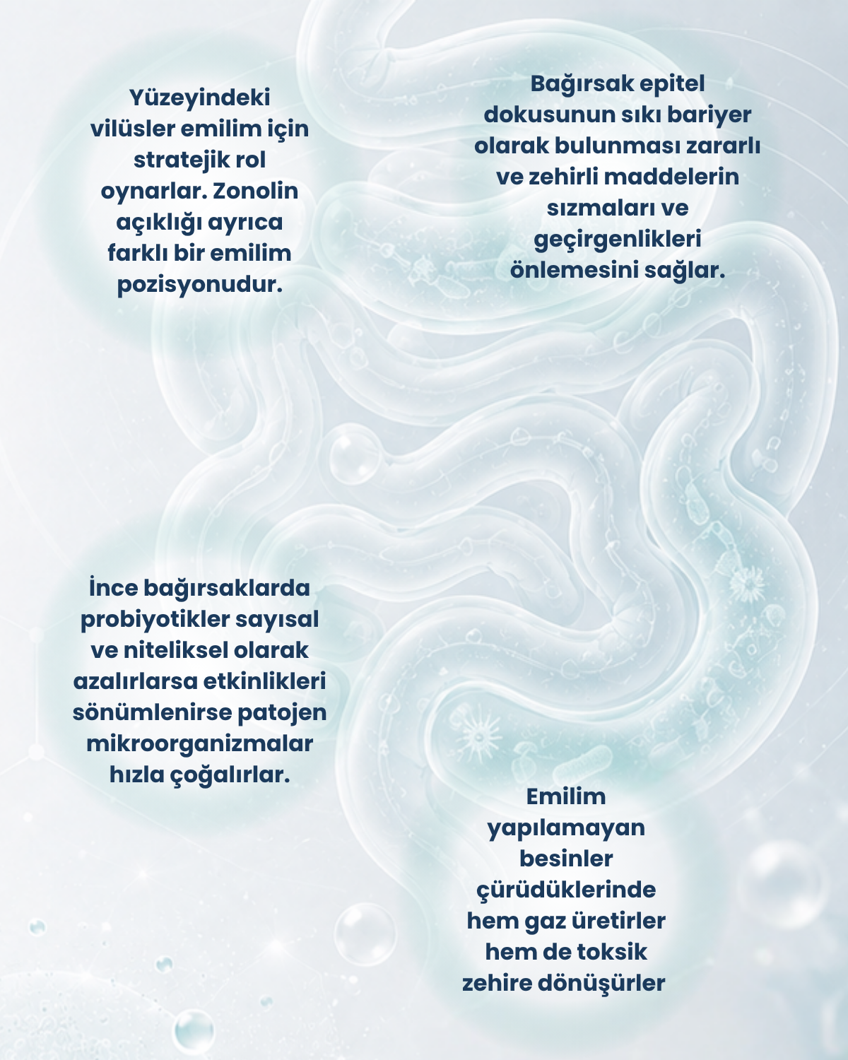 İnce Bağırsak Probiyotik Seti